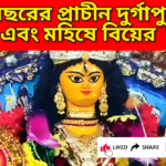 Durga Puja: ৫০০ বছরের প্রাচীন দুর্গাপুজোয় মেস এবং মহিষে বিয়ের রীতি